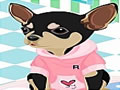 Pet Dressup 11