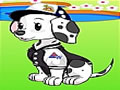 Pet Dressup 6