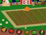 Vegetable farm 2